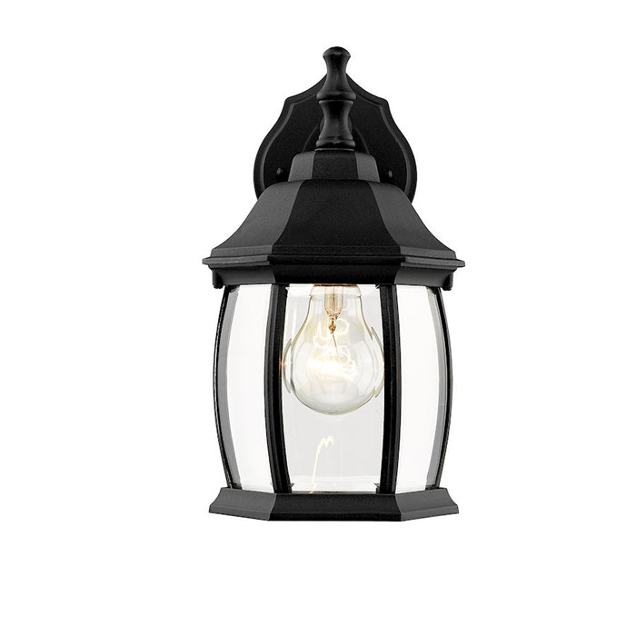 Z-Lite Waterdown 1 Light Outdoor Wall Light 11.75", Black/Clear Bevel