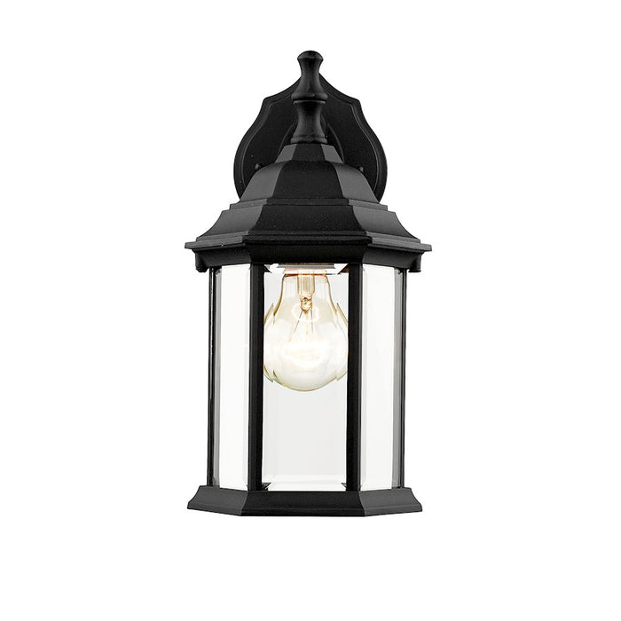 Z-Lite Waterdown 1 Light Outdoor Wall Light 7.5 x 6 x 11.75", Black/Clear Bevel