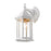 Z-Lite Waterdown 1 Light Outdoor Wall Light, Gloss White/Clear Beveled