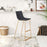 Zuo Modern Adele BarStool Set of 2, Black/Gold