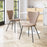 Zuo Modern Tollo Dining Chair Set of 2, Brown