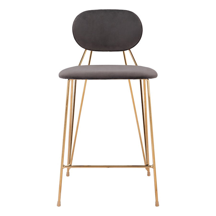 Zuo Modern Georges Counter Stool Set of 2, Gray/Gold