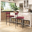 Zuo Modern Livorno Counter Stool Set of 2, Red/Bronze