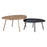 Zuo Modern Castelo Coffee Table, Set of 2, Brass/Black