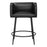 Zuo Modern Horbat Counter Stool Set of 2, Black