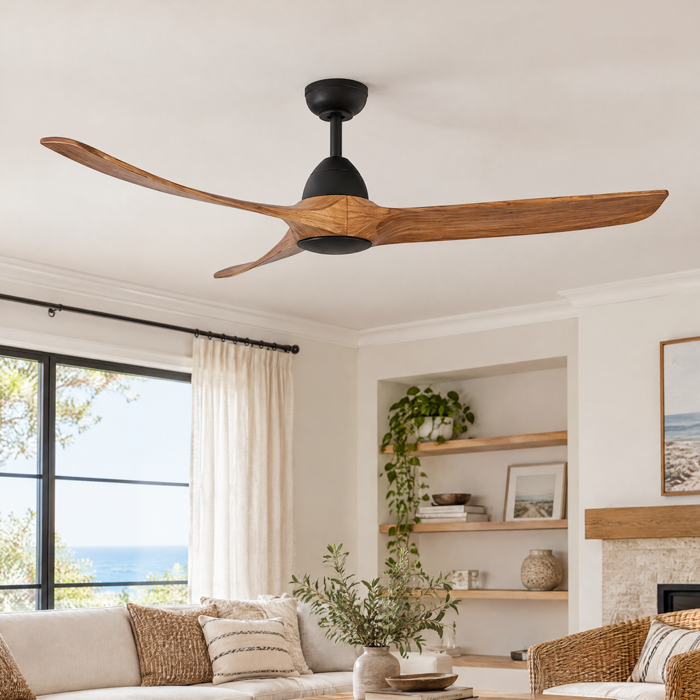 Ceiling Fans