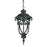 Acclaim Lighting Naples 1 Light Hanging Light, Marbleized Mahogany - 2116MM