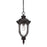 Acclaim Lighting Laurens 1 Light Hanging Light, Black Coral - 2216BC