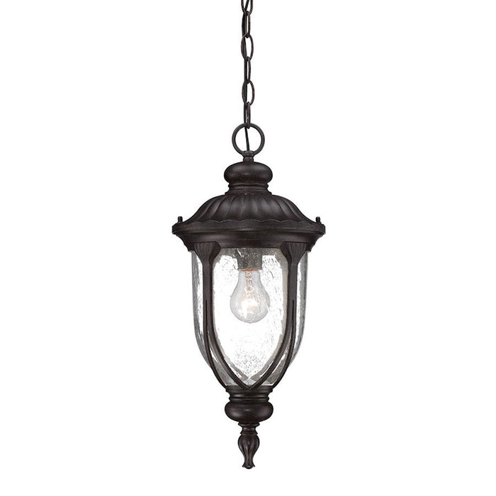 Acclaim Lighting Laurens 1 Light Hanging Light, Black Coral - 2216BC