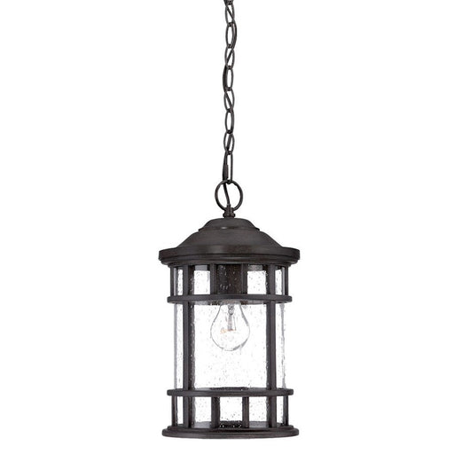 Acclaim Lighting Vista II 1 Light Hanging Light, Black Coral - 31946BC