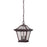 Acclaim Lighting Aiken 2 Light Hanging Light, Architectural Bronze - 39016ABZ