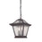 Acclaim Lighting Aiken 2 Light Hanging Light, Black Coral - 39016BC