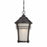 Acclaim Lighting Vero 1 Light Hanging Light, Black Coral - 39626BC