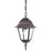 Acclaim Lighting Builder's Choice 1 Light Hanging Light, Burled Walnut - 4006BW