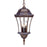 Acclaim Lighting Bryn Mawr 3 Light Hanging Light, Burled Walnut - 5026BW