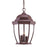 Acclaim Lighting Wexford 3 Light Hanging Light, Burled Walnut - 5036BW