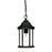 Acclaim Lighting Madison 1 Light Hanging Light, Black/Clear Beveled - 5185BK