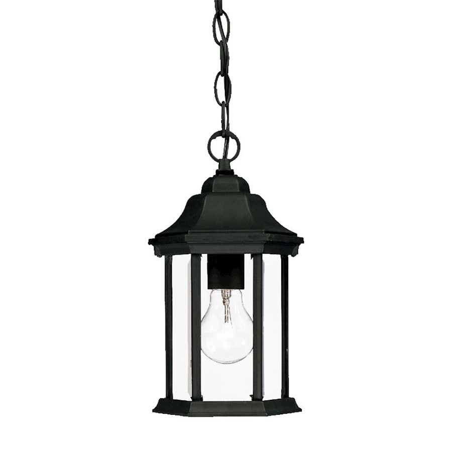 Acclaim Lighting Madison 1 Light Hanging Light, Black/Clear Beveled - 5185BK