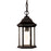 Acclaim Lighting Madison 1 Light Hanging Light, Black/Clear Seeded - 5185BK-SD