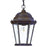 Acclaim Lighting Richmond 1 Light Hanging Light, Walnut/Seeded - 5206BW-SD