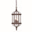 Acclaim Lighting Dover 3 Light Hanging Light, Burled Walnut - 5274BW