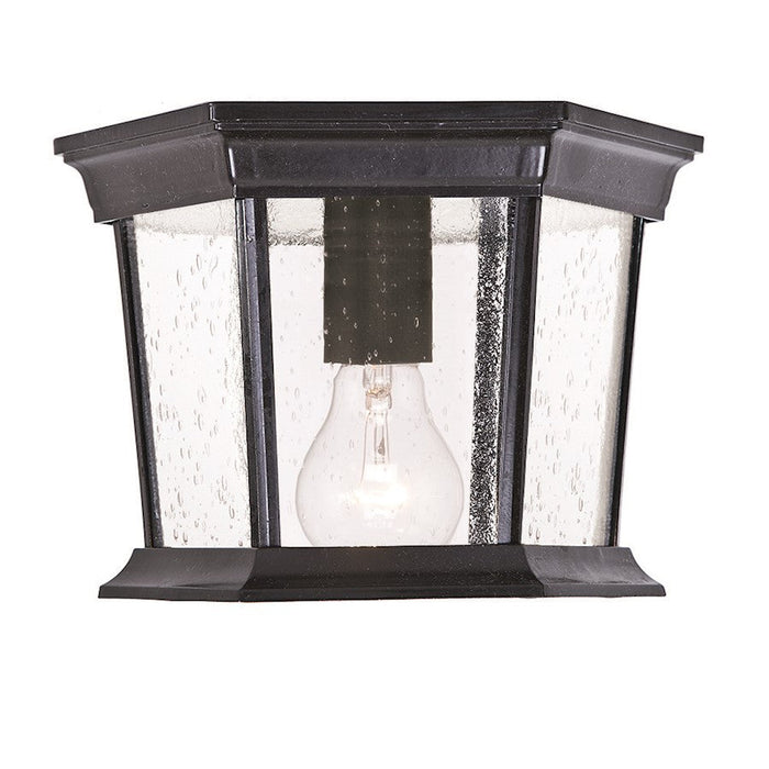 Acclaim Lighting Dover 1 Light Flush Mount, Black/Clear Seeded - 5275BK-SD