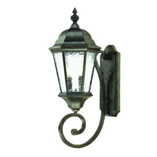 Acclaim Lighting Telfair 2 Light Wall Sconce, Black Coral - 5511BC