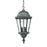 Acclaim Lighting Telfair 2 Light Hanging Light, Black Coral - 5516BC