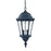 Acclaim Lighting Telfair 2 Light Hanging Light, Matte Black - 5516BK