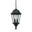 Acclaim Lighting Telfair 2 Light Hanging Light, Marbleized Mahogany - 5516MM