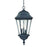 Acclaim Lighting Telfair 3 Light Hanging Light, Matte Black - 5526BK