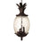 Acclaim Lighting Lanai 3 Light Hanging Light, Black Coral - 7516BC