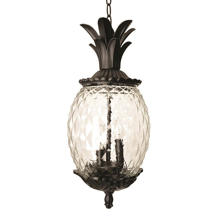 Acclaim Lighting Lanai 3 Light Hanging Light, Matte Black - 7516BK