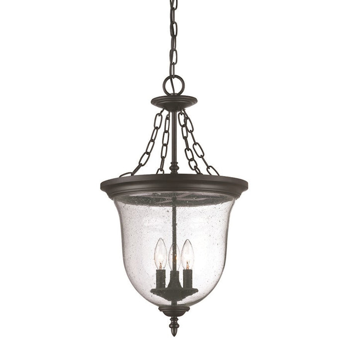 Acclaim Lighting Belle 3 Light Hanging Light, Matte Black - 9316BK