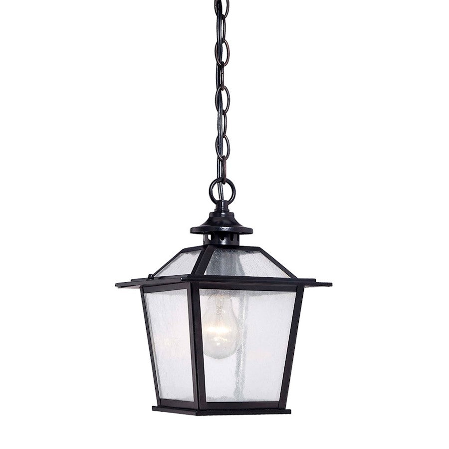 Acclaim Lighting Salem 1 Light Hanging Light, Matte Black - 9706BK