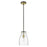 Acclaim Lighting Shelby 1 Light Pendant, Bronze/Brass/Clear Seedy - IN20000ORB