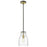 Acclaim Lighting Shelby 1 Light Pendant, Bronze/Brass/Clear Seedy