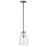 Acclaim Lighting Shelby 1 Light Pendant, Bronze/Brass/Clear Seedy