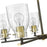 Acclaim Lighting Shelby 5 Light Chandelier, Bronze/Brass/Seedy