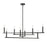 Acclaim Lighting Hale 8 Light Chandelier, Black - IN20026BK