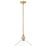 Acclaim Lighting Dwyer 1 Light Pendant