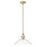 Acclaim Lighting Dwyer 1 Light Pendant