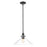 Acclaim Lighting Dwyer 1 Light Pendant, Matte Black/Clear - IN20080BK