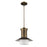 Acclaim Lighting Greta 1 Light Pendant, Raw Brass - IN21165RB