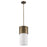 Acclaim Lighting Midtown 1 Light Pendant, Raw Brass - IN21200RB