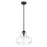 Acclaim Lighting Torrel 1 Light Pendant, Matte Black - IN21251BK