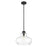 Acclaim Lighting Torrel 1 Light Pendant, Matte Black