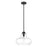 Acclaim Lighting Torrel 1 Light Pendant, Matte Black