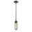 Acclaim Lighting Garret 1 Light Mini Pendant, Oil Rubbed Bronze