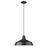 Acclaim Lighting Alcove 1 Light Pendant